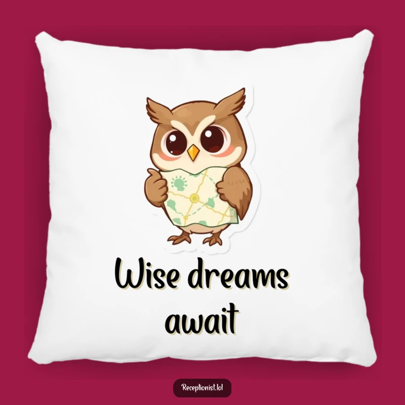 Funny Pillow: Wise Owl Map Pointer, Comfy Gift for Curious Minds